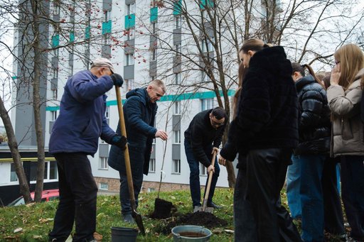 коледж дерево 3.jpg