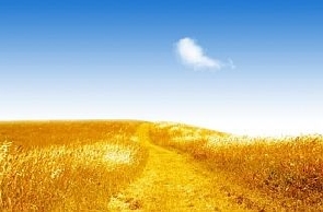 Конкурс творчих робіт «Я пишаюсь тим, що я українець!»