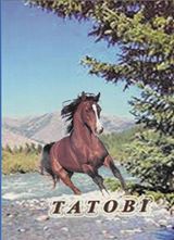 Презентація книги «ТАТОВІ»