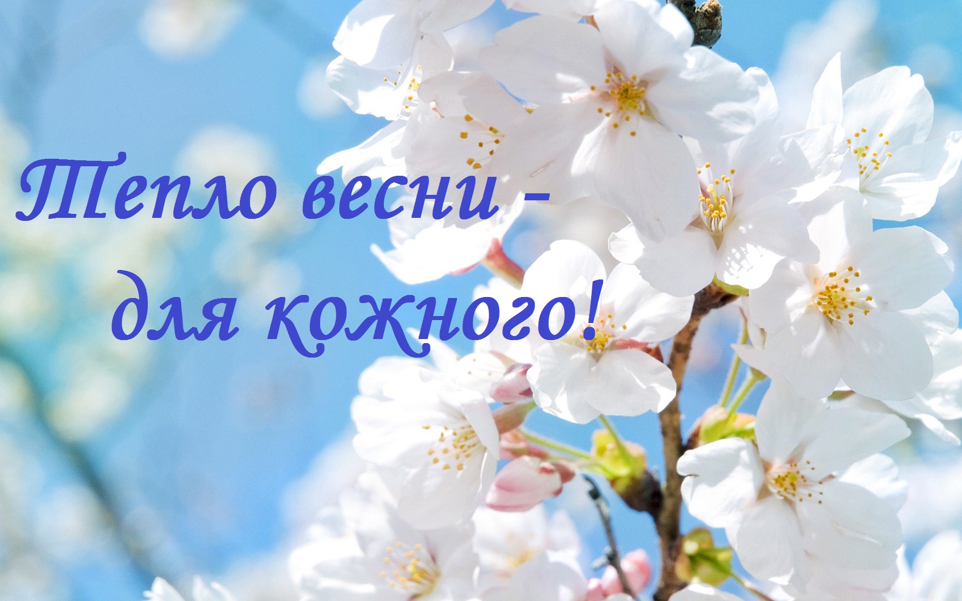 Студентський волонтерський центр ТНЕУ «Оберіг» запрошує долучитися до благодійної акції «Тепло весни – для кожного»!