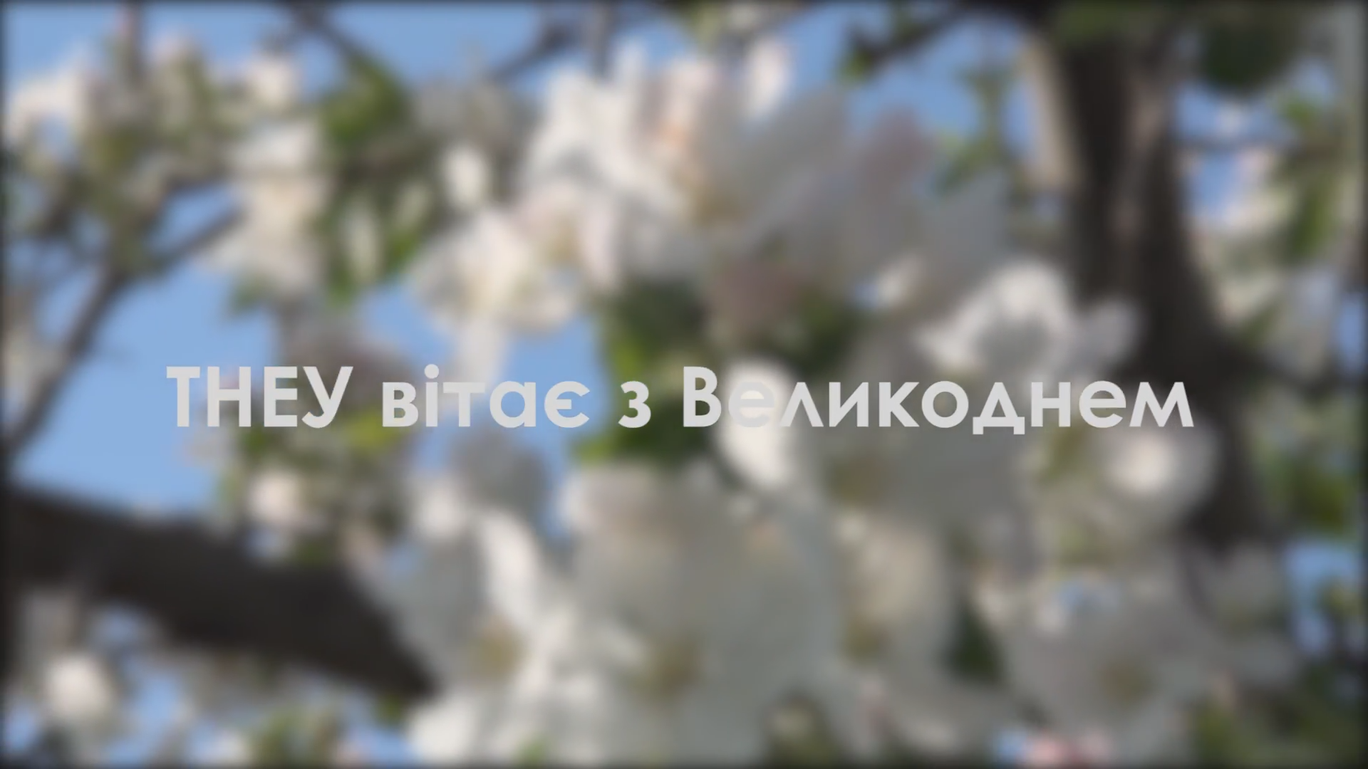 Вітання з Великоднем від деканів