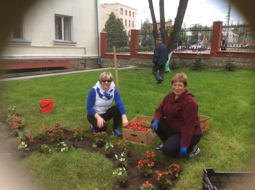 Червоно-білі квіти милуватимуть око університетської родини ТНЕУ