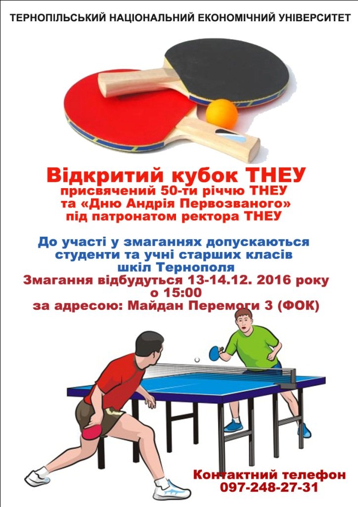 Запрошуємо до участі у Відкритому кубку ТНЕУ
