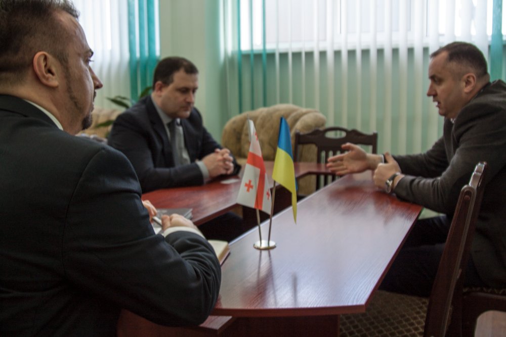 До ТНЕУ прибула делегація з Грузії