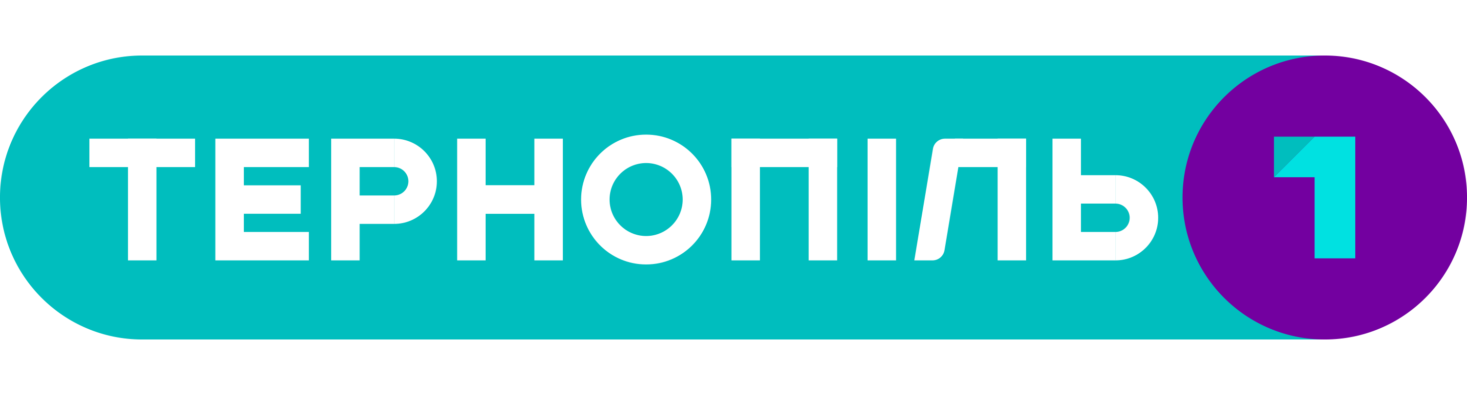 Науковці ТНЕУ взяли участь у прямому ефірі на телеканалі ТЕРНОПІЛЬ 1
