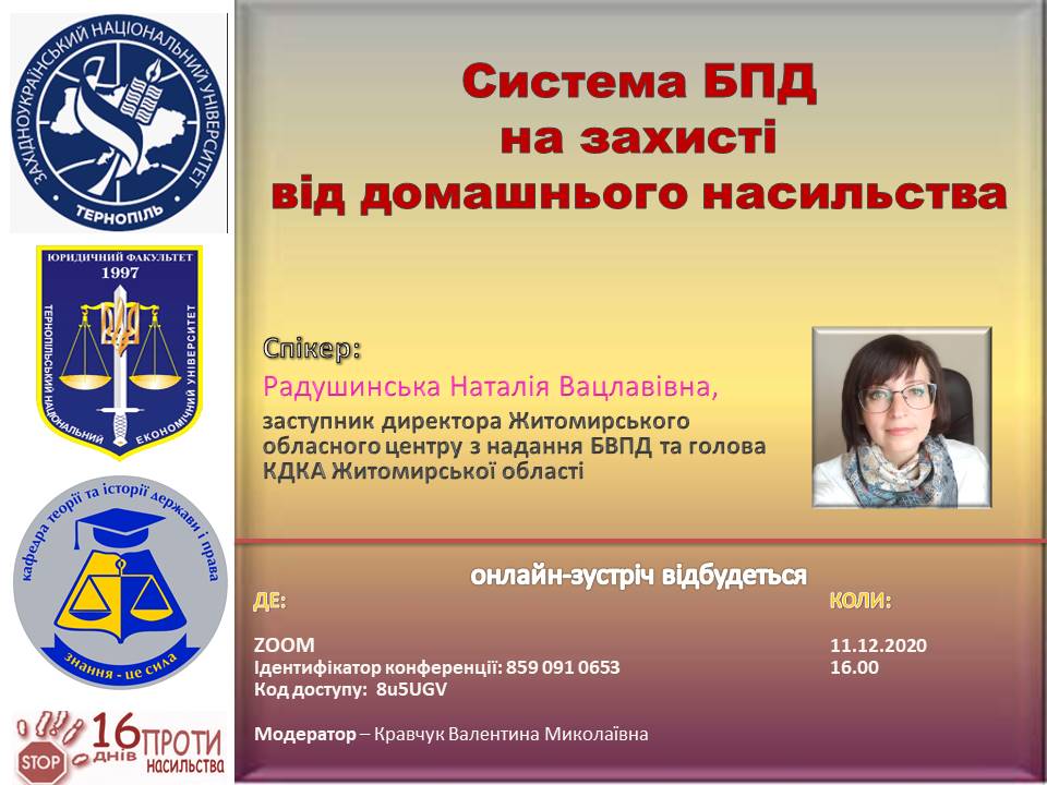 Онлайн-зустріч на тему «Система БПД на захисті від домашнього насильства»