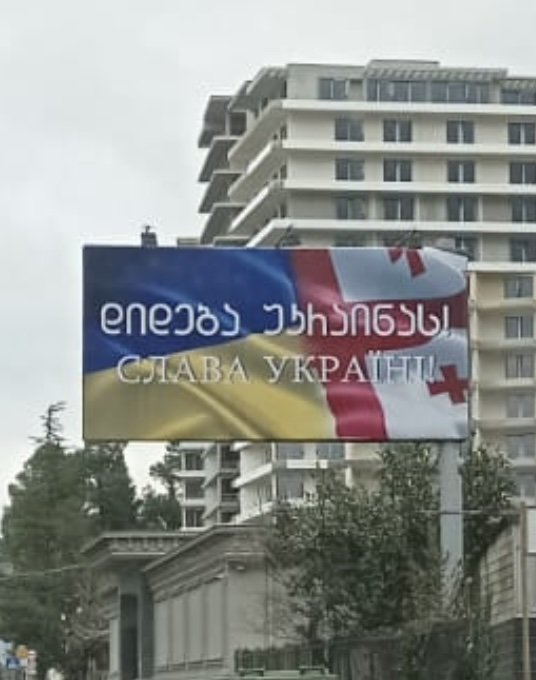 Нас підтримують колеги-науковці з Грузії