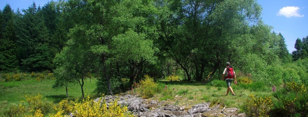 Мережа дитячих закладів оздоровлення та відпочинку Тернопільської області на літній період 2023 року