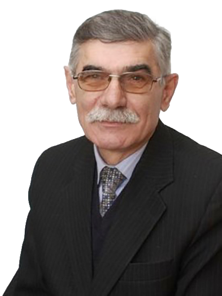 Питуляк Микола Васильович